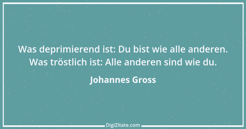 Zitat von Johannes Gross 15