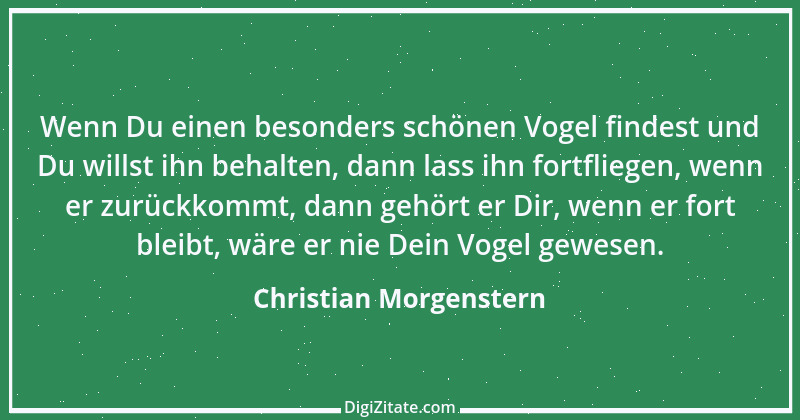 Zitat von Christian Morgenstern 38