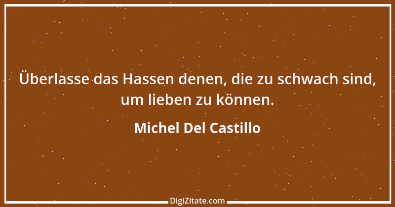 Zitat von Michel Del Castillo 2