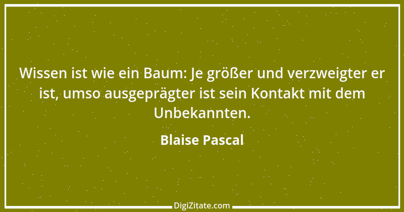 Zitat von Blaise Pascal 50