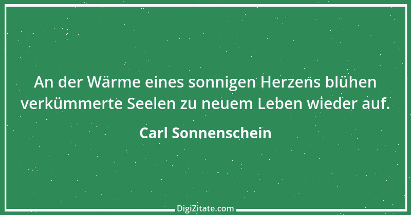 Zitat von Carl Sonnenschein 11