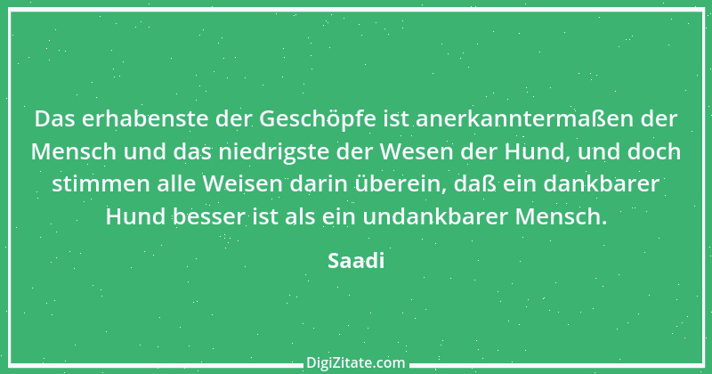 Zitat von Saadi 33