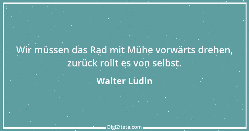 Zitat von Walter Ludin 19