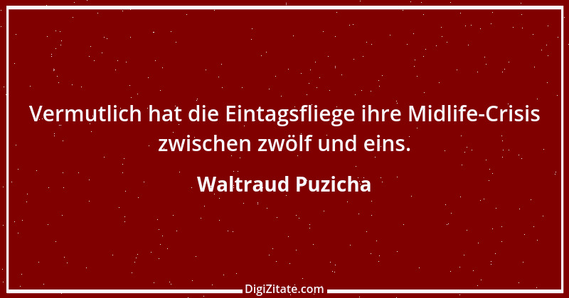 Zitat von Waltraud Puzicha 167