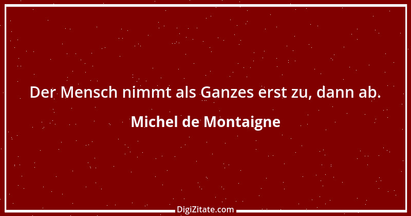 Zitat von Michel de Montaigne 206