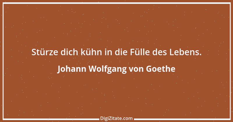 Zitat von Johann Wolfgang von Goethe 2519