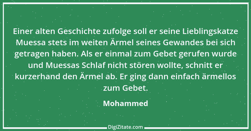 Zitat von Mohammed 35