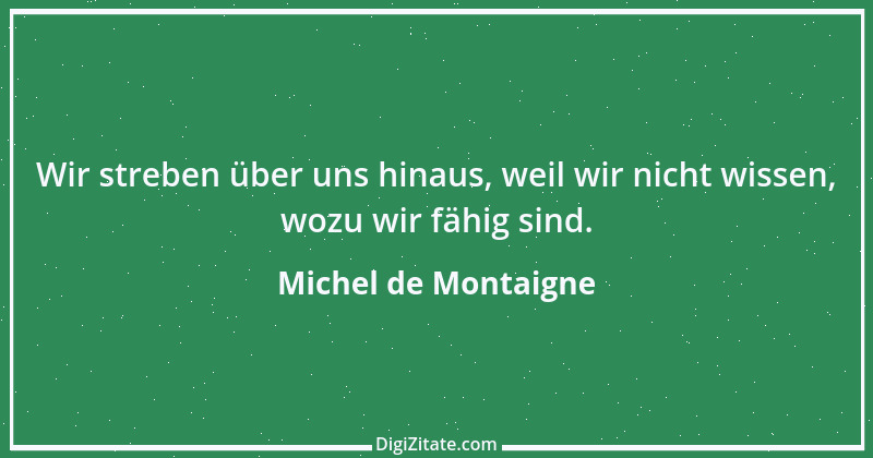 Zitat von Michel de Montaigne 210