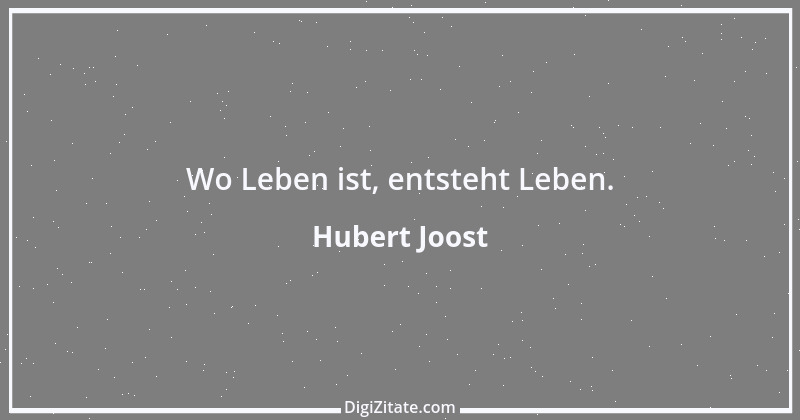 Zitat von Hubert Joost 77