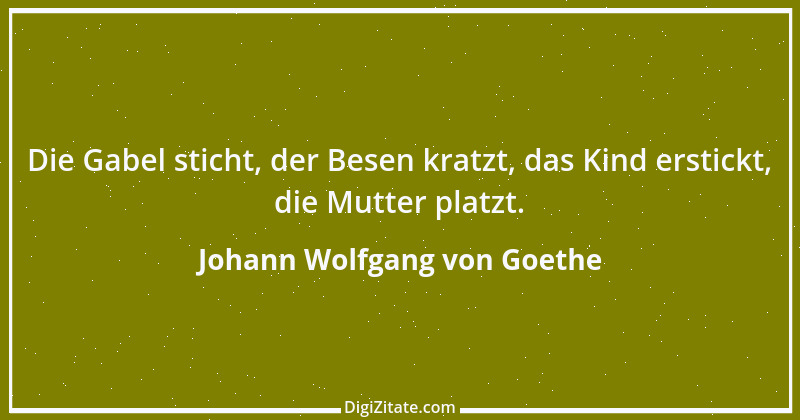 Zitat von Johann Wolfgang von Goethe 1523