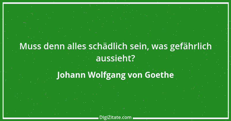 Zitat von Johann Wolfgang von Goethe 523