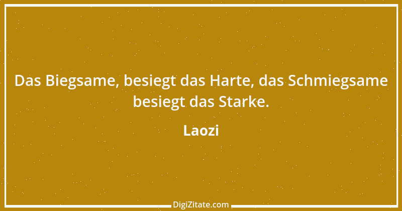 Zitat von Laozi 250