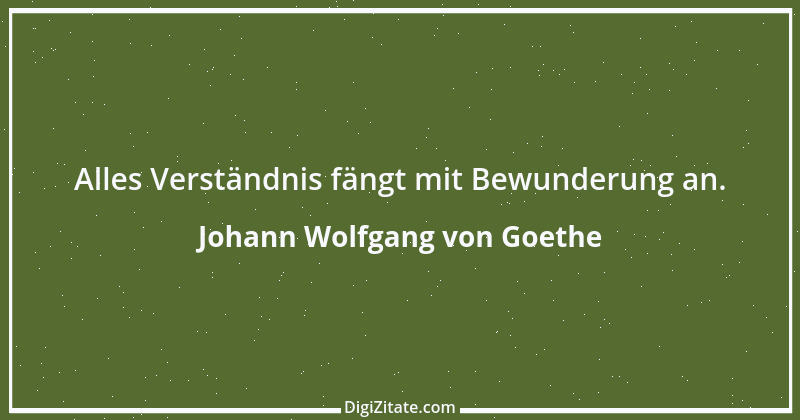 Zitat von Johann Wolfgang von Goethe 2734