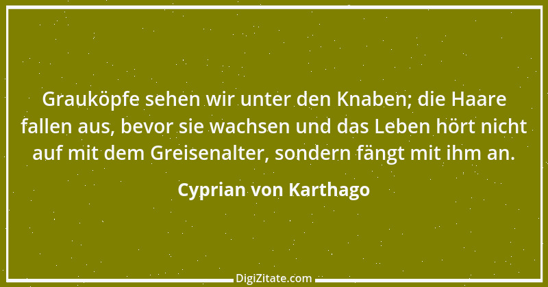 Zitat von Cyprian von Karthago 5