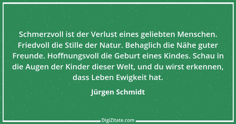 Zitat von Jürgen Schmidt 1