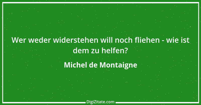 Zitat von Michel de Montaigne 215