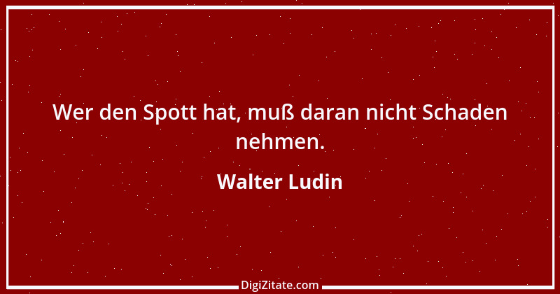 Zitat von Walter Ludin 29