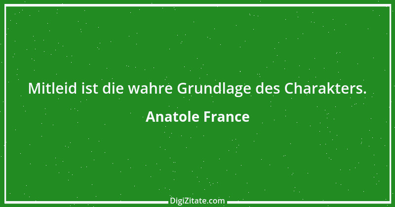 Zitat von Anatole France 43