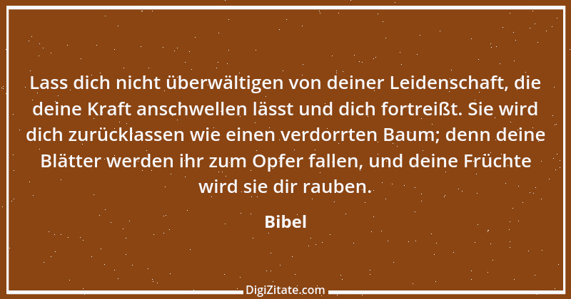 Zitat von Bibel 563