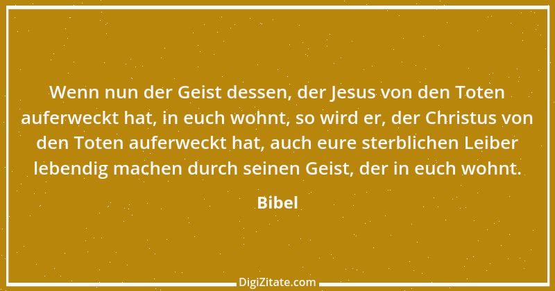 Zitat von Bibel 2565