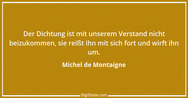 Zitat von Michel de Montaigne 218