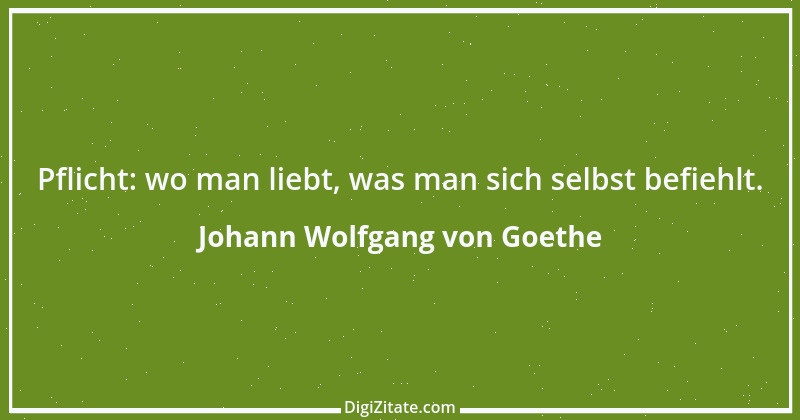 Zitat von Johann Wolfgang von Goethe 2531