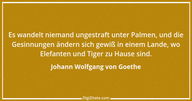 Zitat von Johann Wolfgang von Goethe 532