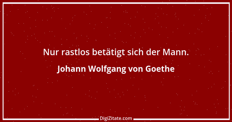 Zitat von Johann Wolfgang von Goethe 535