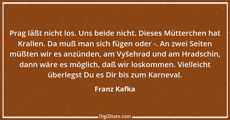 Zitat von Franz Kafka 162