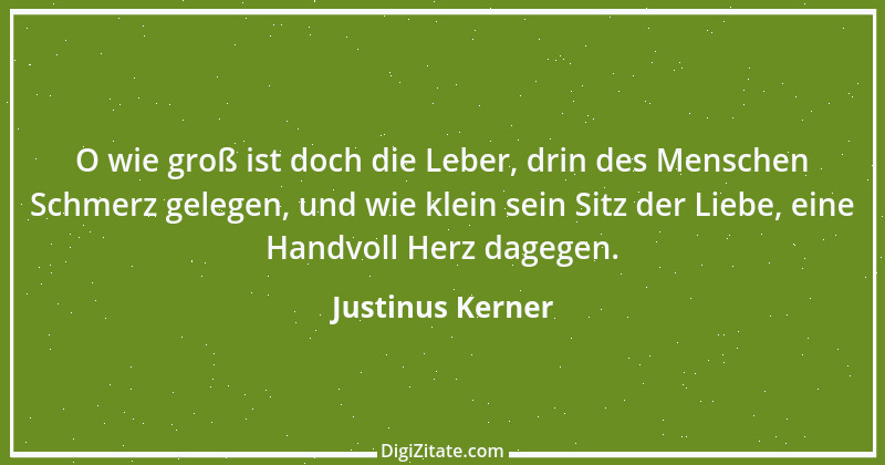 Zitat von Justinus Kerner 16