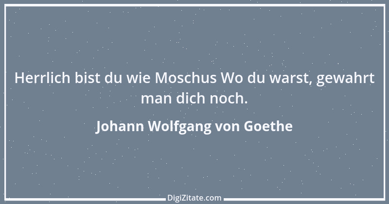 Zitat von Johann Wolfgang von Goethe 3536