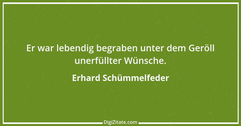 Zitat von Erhard Schümmelfeder 36