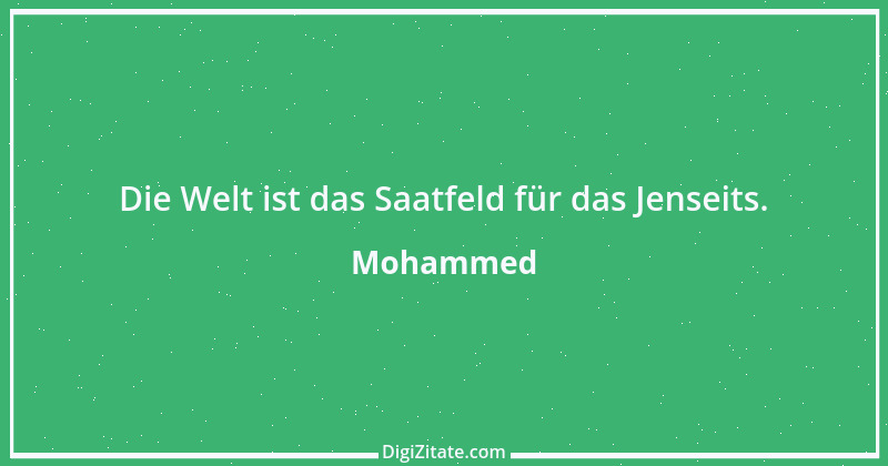 Zitat von Mohammed 53