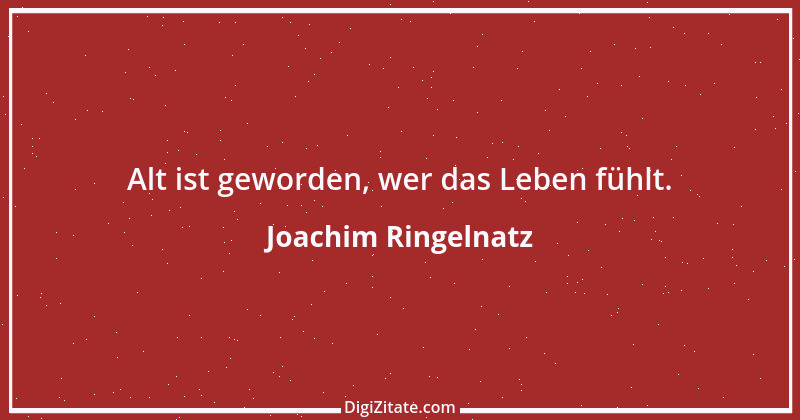 Zitat von Joachim Ringelnatz 31