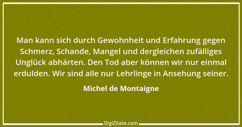 Zitat von Michel de Montaigne 226