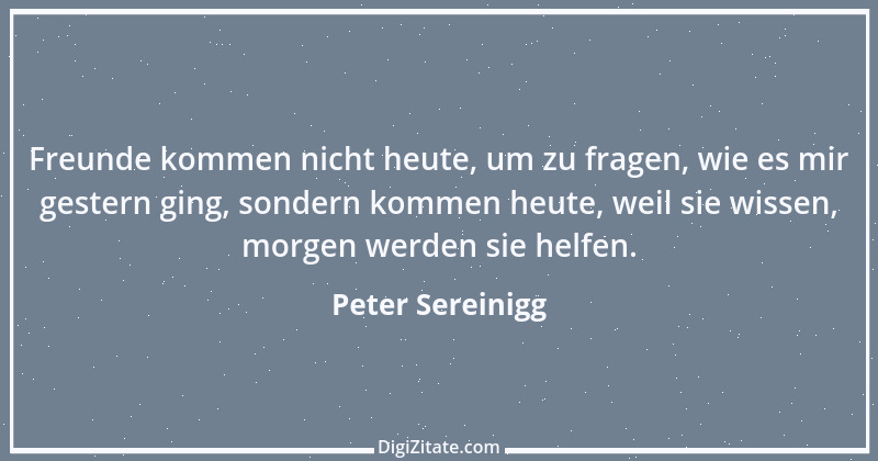 Zitat von Peter Sereinigg 23