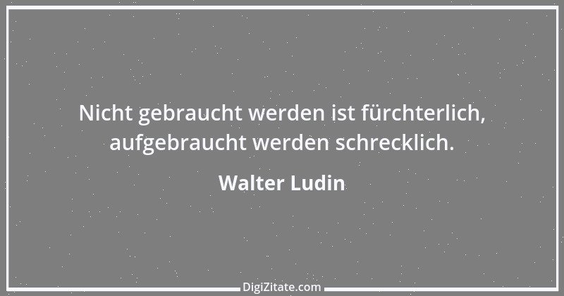 Zitat von Walter Ludin 1040