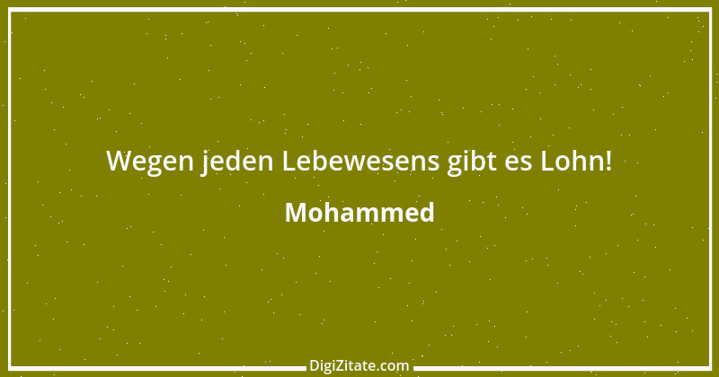 Zitat von Mohammed 55