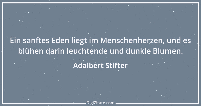 Zitat von Adalbert Stifter 114