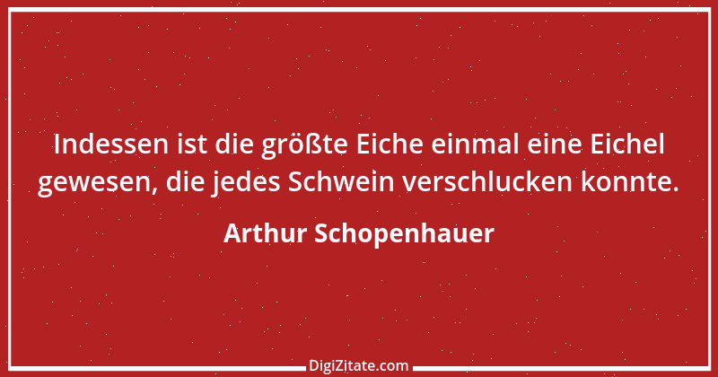 Zitat von Arthur Schopenhauer 407