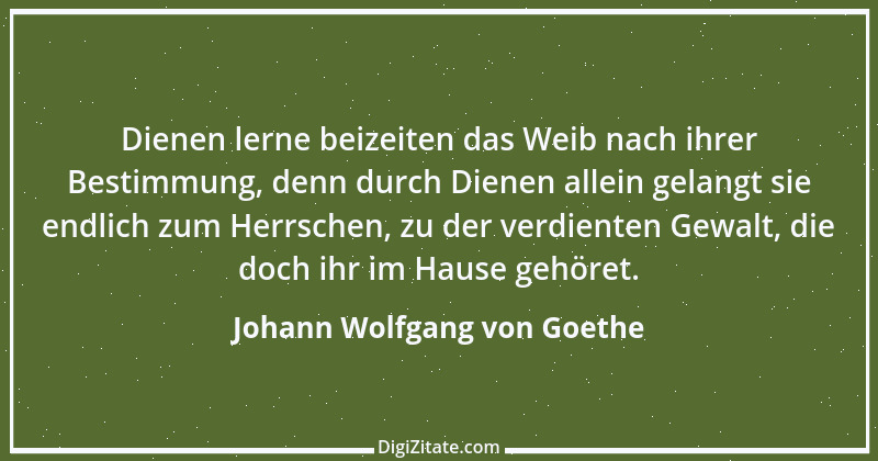 Zitat von Johann Wolfgang von Goethe 1541