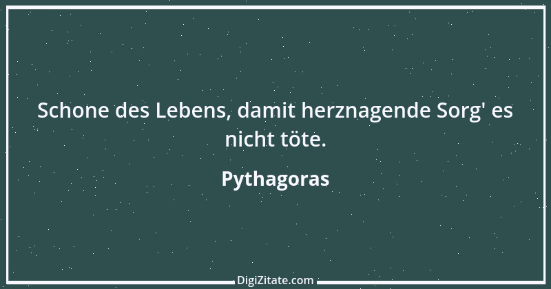 Zitat von Pythagoras 7