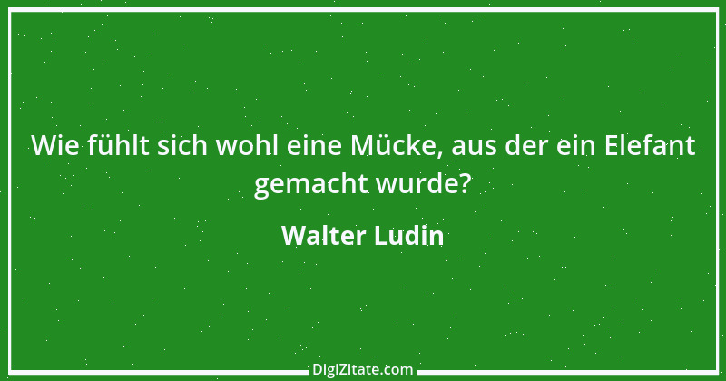 Zitat von Walter Ludin 1043