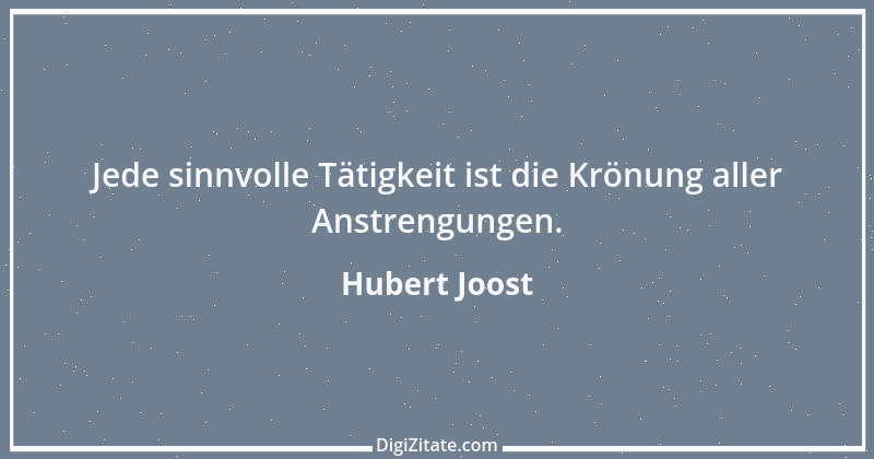 Zitat von Hubert Joost 96