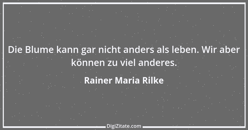 Zitat von Rainer Maria Rilke 87