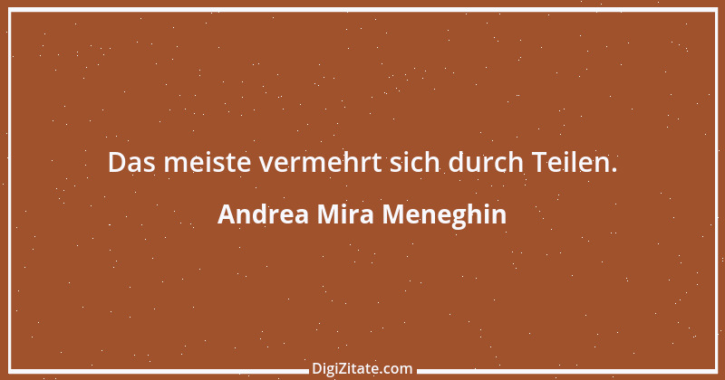 Zitat von Andrea Mira Meneghin 133