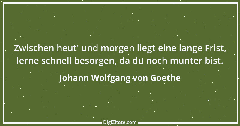 Zitat von Johann Wolfgang von Goethe 543