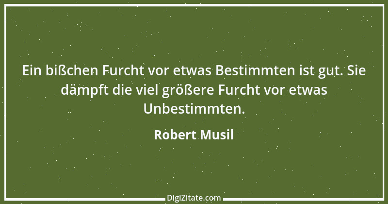 Zitat von Robert Musil 17