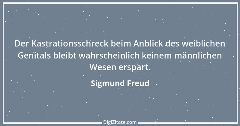 Zitat von Sigmund Freud 17