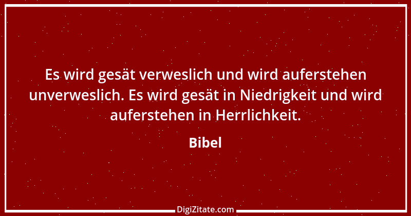 Zitat von Bibel 2579